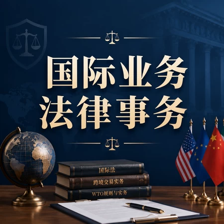 国际法律事务